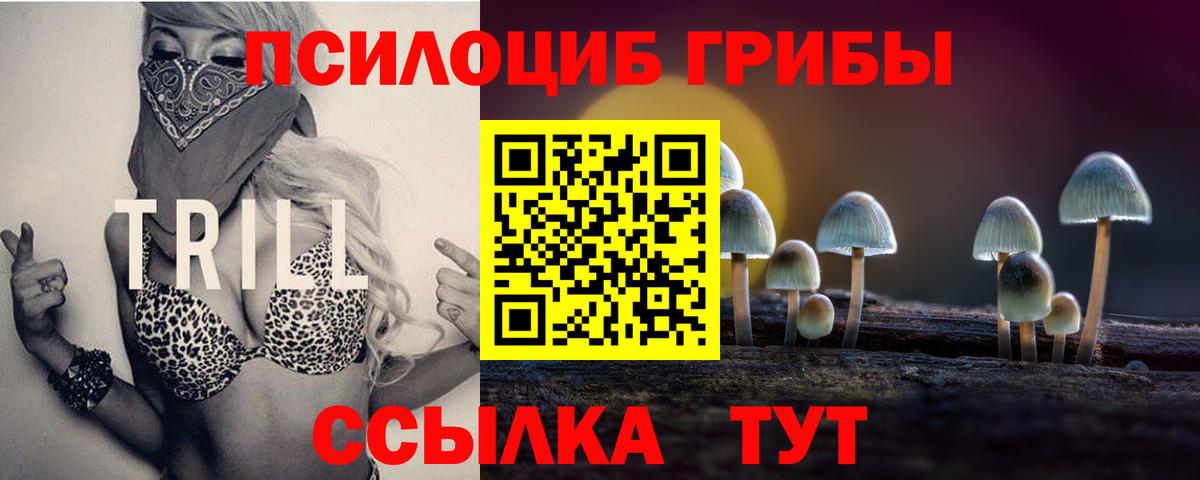 Псилоцибиновые грибы Cubensis  Вход с VPN  Похвистнево 